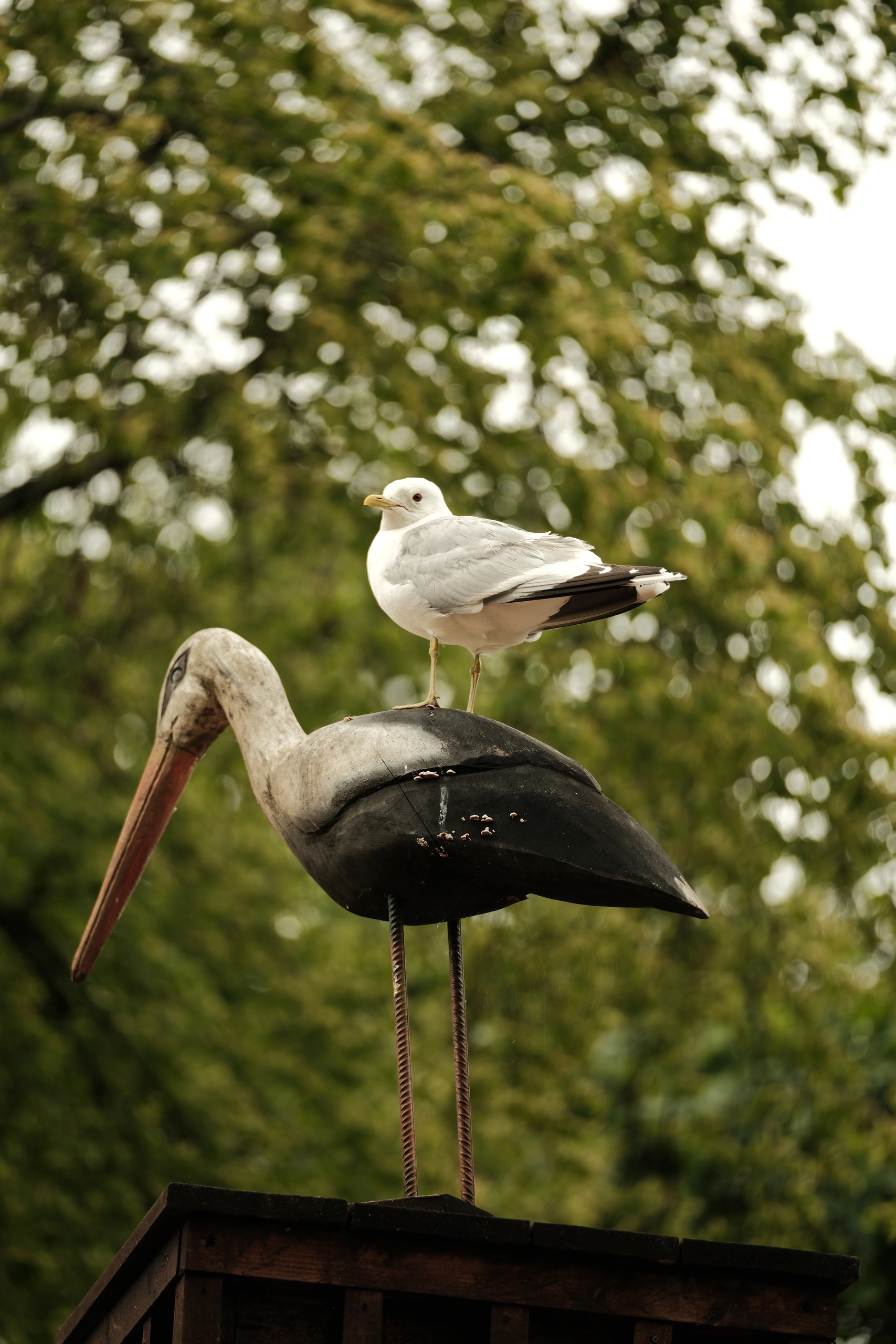 Gull perched on the back of a stork sculpture