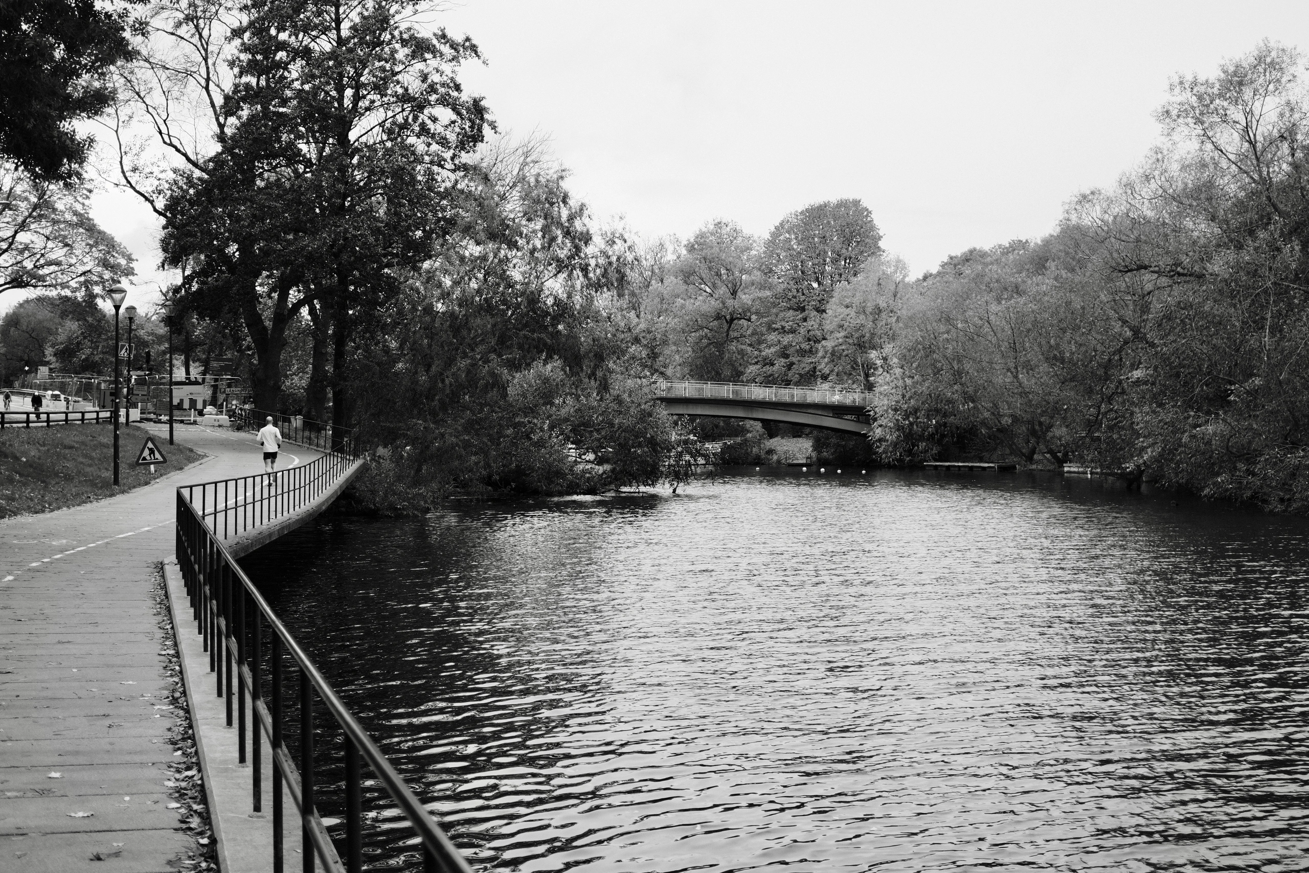 Waterside path curving through a tree-lined park
